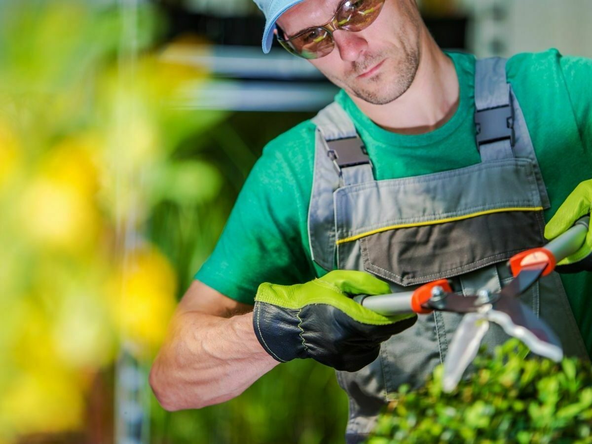 Professione manutentore del verde: il nuovo standard - Teknoring